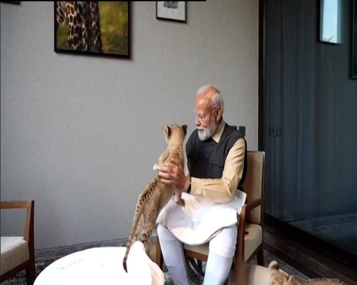 પીએમ મોદીએ વનતારામાં અલગ અલગ સુવિધાઓનો અભ્યાસ કર્યો અને વન્યજીવ હોસ્પિટલની પણ મુલાકાત લીધી હતી. તેમણે પશુચિકિત્સા સુવિધાઓની પણ મુલાકાત લીધી હતી. નોંધનીય છે કે અહીં પ્રાણીઓ માટે MRI, CT સ્કેન, ICU અને બીજી ઘણી સુવિધાઓ છે.