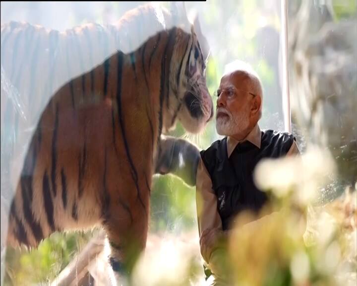 વનતારામાં પીએમ મોદી એશિયાઈ સિંહ, સફેદ સિંહ, ક્લાઉડેડલ લેપર્ડ, કૈરાકલ અને પ્રજાતિઓના પ્રાણીઓના બચ્ચાઓ સાથે રમતા જોવા મળ્યા હતા.