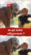 ఈ పులిని మోదీని ఆశీర్వదించిందా.?