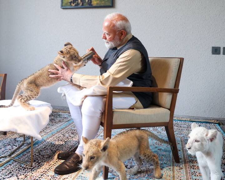 પીએમ મોદીએ ઓકાપીને થપથપાવ્યું અને ચિમ્પાન્ઝીને પણ વ્હાલ કર્યું હતું. તે સિવાય વડાપ્રધાન મોદીએ ઓરંગુટાનને ગળે લગાવ્યું હતું. આ પછી પીએમએ એક હિપ્પોપોટેમસને નજીકથી જોયો હતો. તે સિવાય તેમણે મગર, જિરાફ, ઝીબ્રાને પણ જોયા હતા. જિરાફ અને ગેંડાના બચ્ચાઓ પણ વડાપ્રધાને ખવડાવ્યું હતું. એક શિંગડાવાળા ગેંડાનું બચ્ચું અનાથ થઇ ગયું કારણ કે તેની માતાનું મૃત્યું થયું હતું.