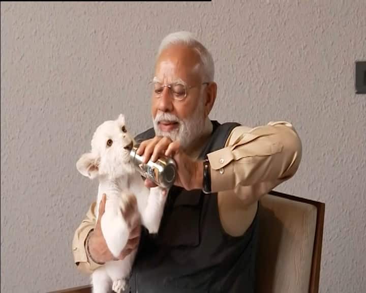 આ સાથે એનેસ્થેસિયા, કાર્ડિયોલોજી, નેફ્રોલોજી, એન્ડોસ્કોપી અને ડેન્ટલ ટ્રીટમેન્ટ સહિત લગભગ દરેક વિભાગ છે. પ્રધાનમંત્રીએ હોસ્પિટલના એમઆરઆઈ રૂમની પણ મુલાકાત લીધી. અહીં એક એશિયાઈ સિંહનો MRI કરવામાં આવી રહ્યો હતો. તેઓ ઓપરેશન થિયેટરમાં પણ ગયા હતા.