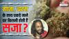 गांजा गैरकानूनी, तो भांग क्यों नहीं? जानें कितनी मात्रा में इसके साथ पकड़े गए तो हो सकती है सजा?
