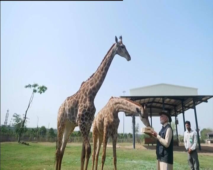 વનતારા એ પ્રખ્યાત ઉદ્યોગપતિ મુકેશ અંબાણીના પુત્ર અનંત અંબાણીની પહેલ છે. તે ગુજરાતના જામનગરમાં 3 હજાર એકર વિસ્તારમાં બનાવવામાં આવ્યું છે. 'વનતારા' સ્ટાર ઓફ ધ ફોરેસ્ટ હેઠળ પ્રાણીઓને બચાવવામાં આવે છે અને તેમની સંભાળ રાખવામાં આવે છે.