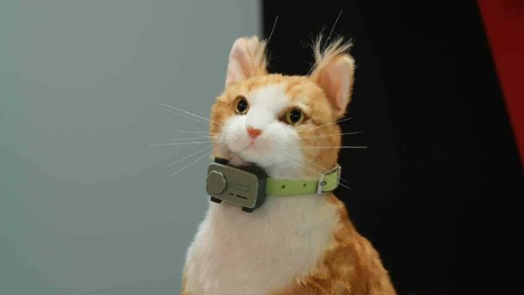 MWC 2025 uCloudlink showcased new wearable device for pets that offer calling and real time tracking अब पालतू जानवरों के खोने का डर नहीं! लाइव कॉल फीचर के साथ आया नया मोबाइल, ट्रैकिंग भी होगी आसान