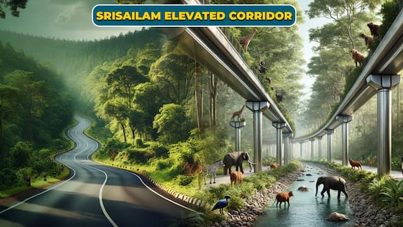 Srisailam Elevated Corridor Project Details | నల్లమల్ల అడవిలో ఎలివేటెడ్ కారిడార్‌ | ABP Desam