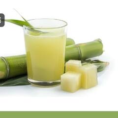 Sugarcane Juice: ਗੰਨੇ ਦਾ ਰਸ ਸਾਰਿਆਂ ਲਈ ਫਾਇਦੇਮੰਦ ਨਹੀਂ ਹੁੰਦਾ, ਜਾਣੋ ਨੁਕਸਾਨ