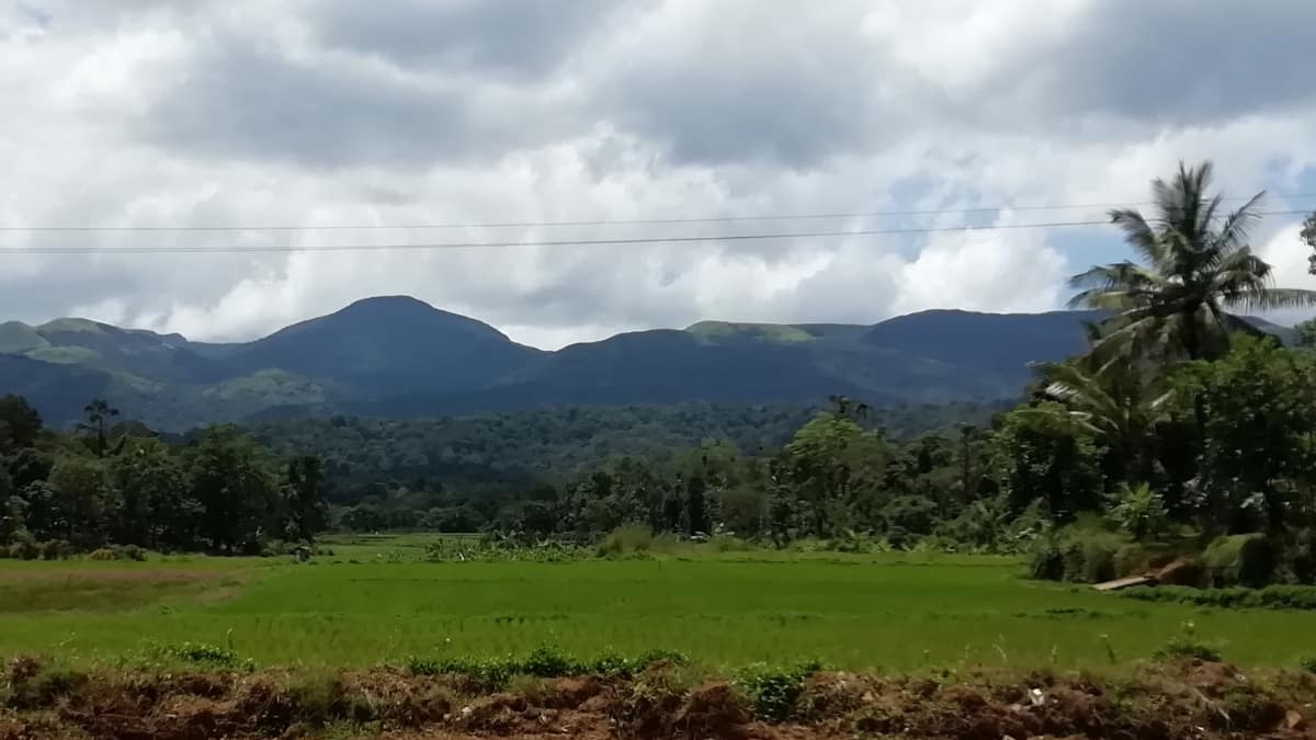 (Image Source: Canva)