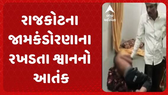 Rajkot News: જામકંડોરણાના રખડતા શ્વાનનો આતંક, ઈન્દિરાનગર વિસ્તારમાં સાત વર્ષના માસૂમ પર શ્વાનનો હુમલો