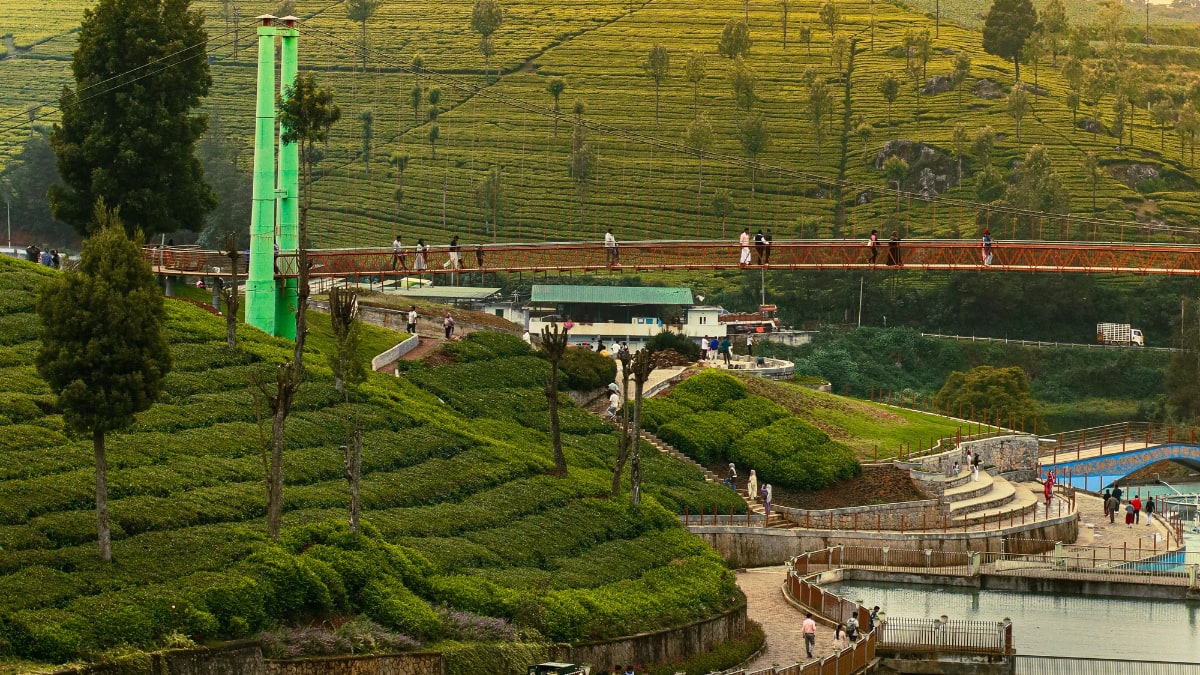 (Image Source: Canva)