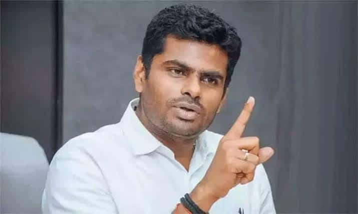 Annamalai says Someone please explain to Vijay what MPs are tnn “விஜய்க்கு இதை யாராவது சொல்லி கொடுங்கள்” - அண்ணாமலை எதற்காக அப்படி சொன்னார்?