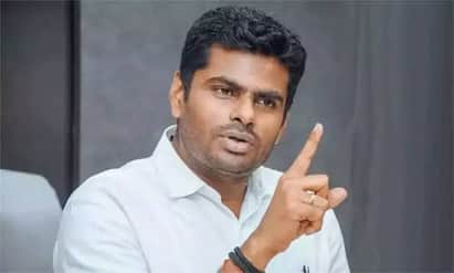 Annamalai says Someone please explain to Vijay what MPs are tnn “விஜய்க்கு இதை யாராவது சொல்லி கொடுங்கள்” - அண்ணாமலை எதற்காக அப்படி சொன்னார்?