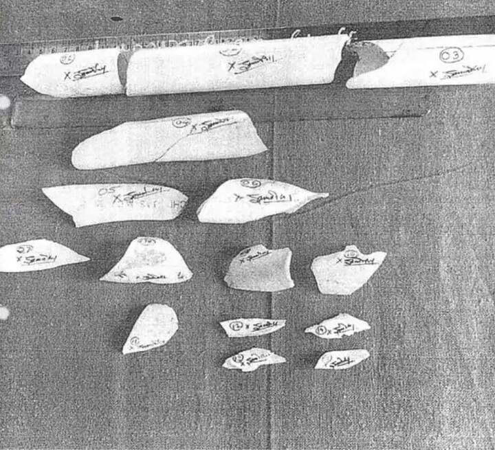 संतोष देशमुखांना मारहाण करताना पाईपचा वापर केला होता. प्रतीक आणि सुदर्शन घुलेने संतोष देशमुखांना मारहाण करताना पाईपचा वापर केला होता.