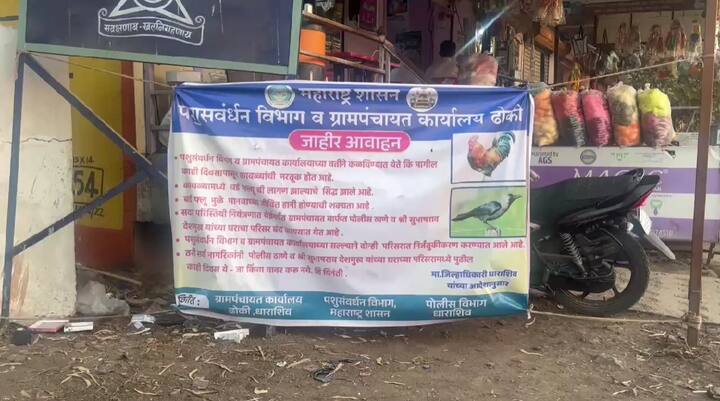 गेल्या काही दिवसांपासून राज्यभरात बर्ड फ्लूचा (Bird flu) शिरकाव झालाय . धाराशिवच्या ढोकी गावात कावळ्यापाठोपाठ आता कोंबड्यांनाही बर्ड फ्लूची लागण झाल्याचं स्पष्ट झालंय .