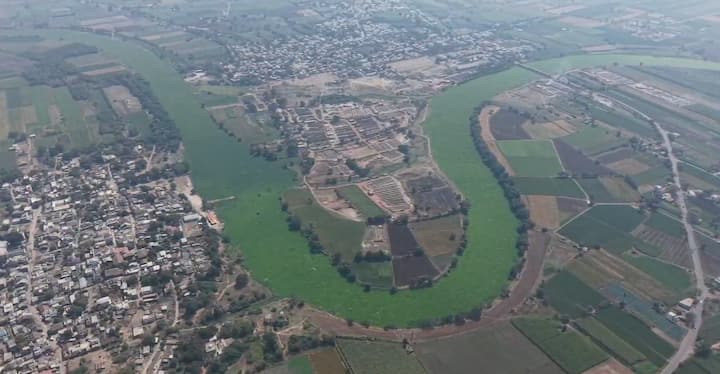 2 ते 3किलोमीटर अंतरावर फक्त पानवेलीच नजरेस पडत आहेत.