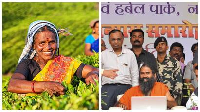 Patanjali Mega Food and Herbal Park in Nagpur will increase farmers income விவசாயிகளுக்கு ஜாக்பாட்.. அசத்த வரும் பதஞ்சலி தொழிற்சாலை!