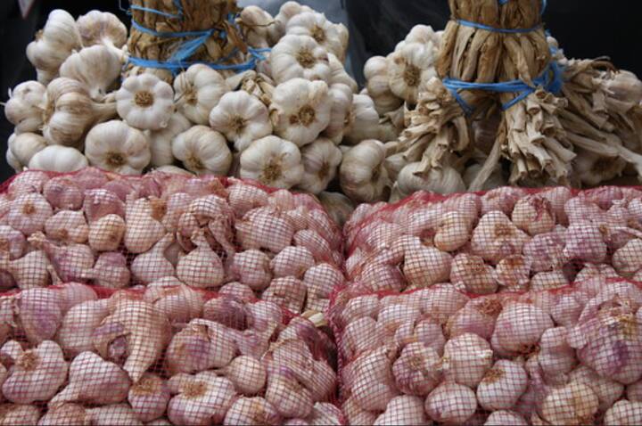 आपल्याकडे असलेल्या शेतीतील काही भागात लसूण लागवड करून यशस्वीरित्या उत्पादन घेण्यासाठी शेतीचा प्रकार, मशागत, पाण्याचे डोस आणि निविष्ठा यांचे योग्य प्रकारचे नियोजन करावं लागतं असं विष्णू जरे सांगतात.