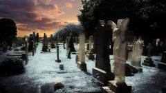 Cemeteries In Romania: इस देश के कब्रिस्तान हैं सबसे बड़े टूरिस्ट प्लेस, मुर्दों के बीच वक्त बिताने जाते हैं लोग