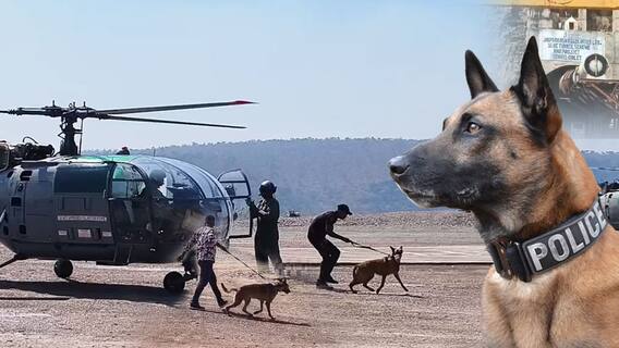 Cadaver Dogs for SLBC Rescue | SLBC రెస్క్యూ ఆపరేషన్‌కు కేరళ కుక్కల సహాయం | ABP Desam