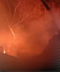 Kanpur Fire News: लकड़ी के गोदाम में आग का तांडव | ABP SHORTS NEWS