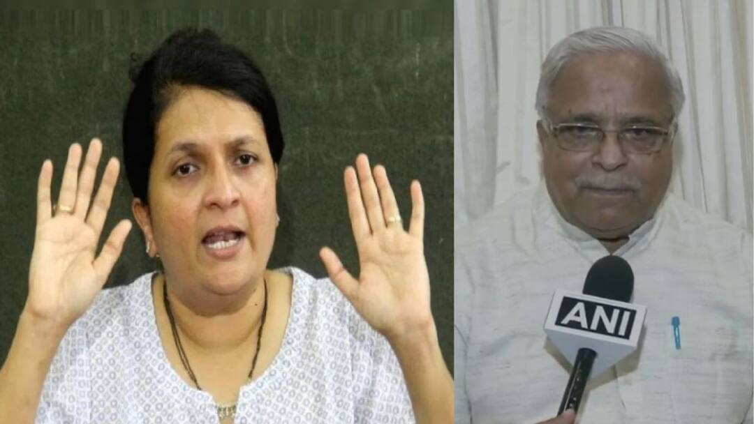 माझे पती गुजराती पण ते अस्खलित मराठी बोलतात; भय्याजी जोशींच्या वक्तव्यावरुन दमानियांनी सांगतिलं भाषाप्रेम Anjali Damania reaction to Bhaiyaji Joshi's statement about Marathi language in Mumbai language of Maharashtra is Marathi माझे पती गुजराती पण ते अस्खलित मराठी बोलतात; भय्याजी जोशींच्या वक्तव्यावरुन दमानियांनी सांगतिलं भाषाप्रेम