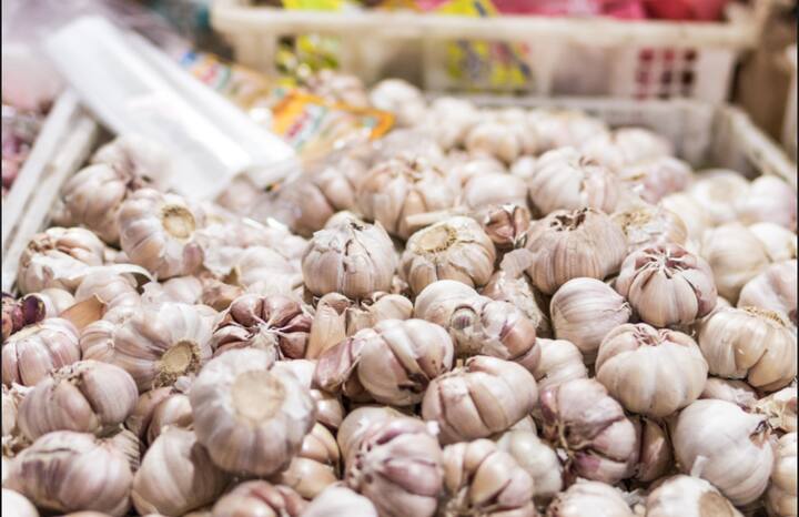 त्यांच्याकडे असलेल्या 9 एकर शेती पैकी एक ते दीड एकर वर ते दरवर्षी लसुन लावतात या लसूण पिकापासून त्यांना दरवर्षी लाखोंचा नफा मिळतो चार महिन्याचं असलेलं लसूण पीक खात्रीशीर नफा देणार आहे.