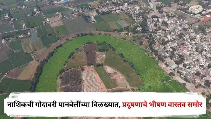 Nashik Godavari Pollution : गोदापात्रात वाढलेल्या पानवेलींनी नदीचा श्वास कोंडला गेला आहे.  निफाड तालुक्यात गोदावरीच्या प्रदूषणाचे भीषण वास्तव समोर आले आहे.