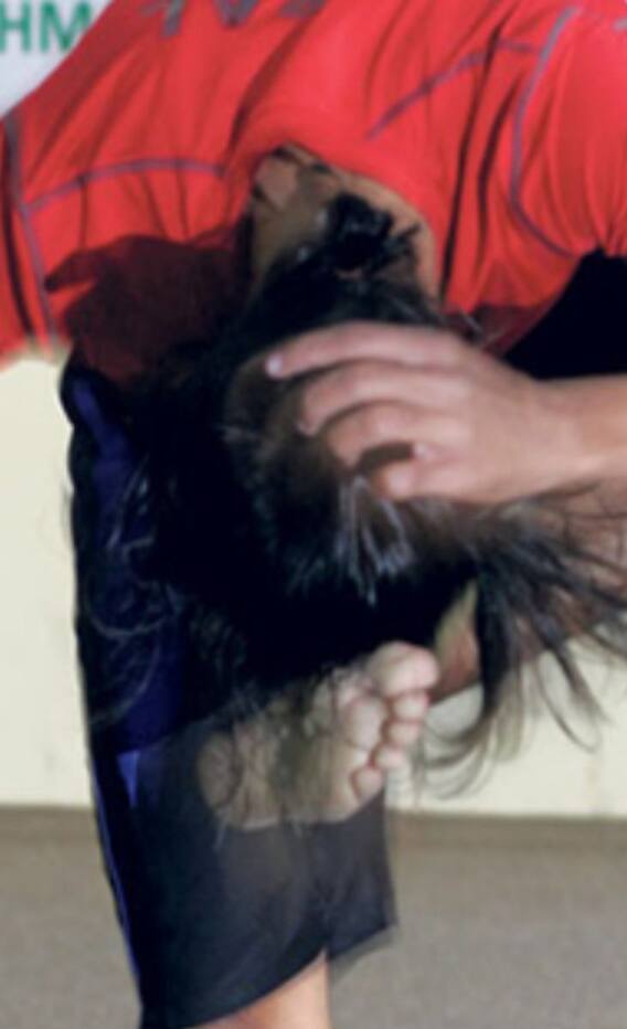 इस शख्स ने बनाया है माथे पर खुद लात मारने का वर्ल्ड रिकॉर्ड