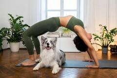 एनिमल योगा पोजेस बना सकते हैं आपको फैट से फिट, जानें इनके फायदे