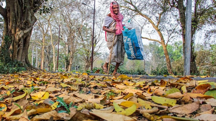 সপ্তাহের মাঝে সামান্য তাপমাত্রা কমল। সপ্তাহের শেষে অর্থাৎ উইকেন্ডে ফের তাপমাত্রা বাড়বে। আরও কমলো দিন ও রাতের তাপমাত্রা। দিন ও রাতের তাপমাত্রা স্বাভাবিকের সামান্য নিচে নামল।