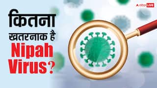 केरल में निपाह वायरस का अलर्ट, जानें ये कितना खतरनाक और क्या होते हैं लक्षण