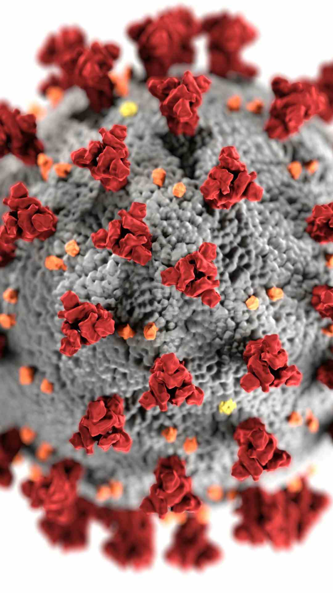 कोरोना वाला नहीं ये था दुनिया का सबसे बुरा साल