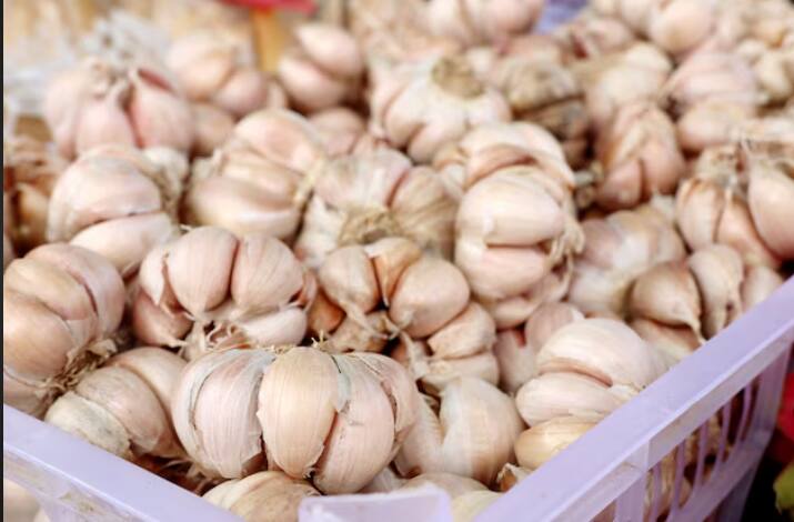 विष्णू जरे यांनी मागील 25 वर्षात पारंपारिक लसूण ते विद्यापीठाने विकसित केलेले वेगवेगळे लसूण पिकं घेतली आहेत लसूण पिकात त्यांचा मोठा अनुभव आहे.