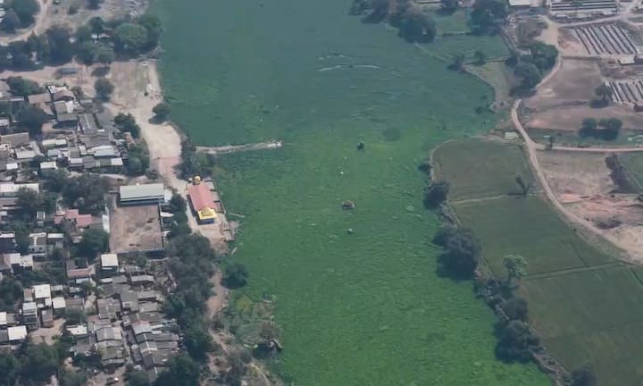 याच निफाड तालुक्यात गोदावरीच्या प्रदूषणाचे भीषण वास्तव समोर आले आहे.