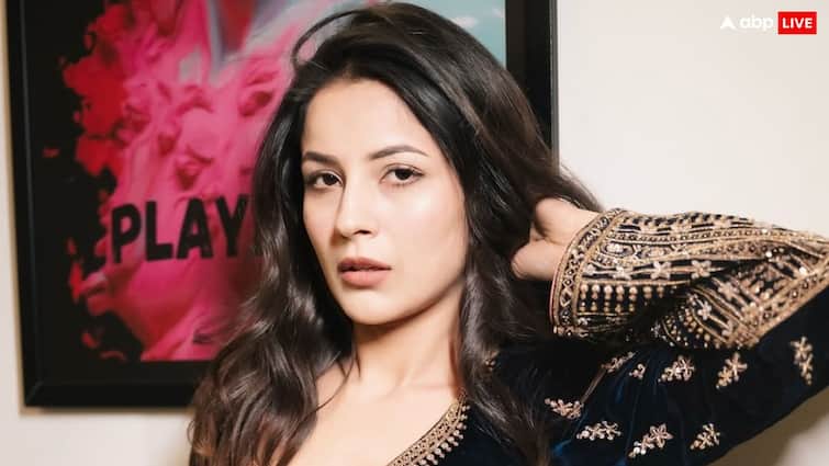 ‘मुझे अफोर्ड नहीं कर पाओगे’, शहनाज ने दिखाए तेवर, तो बुरी तरह हुईं ट्रोल