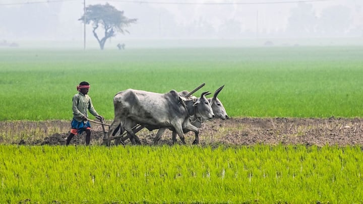 চার জেলায় বজ্রবিদ্যুৎসহ বৃষ্টি হতে পারে। দার্জিলিং ও কালিম্পং জেলার সঙ্গে আলিপুরদুয়ার ও জলপাইগুড়ি জেলাতেও হালকা বৃষ্টির পূর্বাভাস। বৃষ্টি হলেও তাপমাত্রার খুব একটা হেরফের হবে না আগামী ৪-৫ দিনে। পূর্বাভাস আলিপুর আবহাওয়া দফতরের।