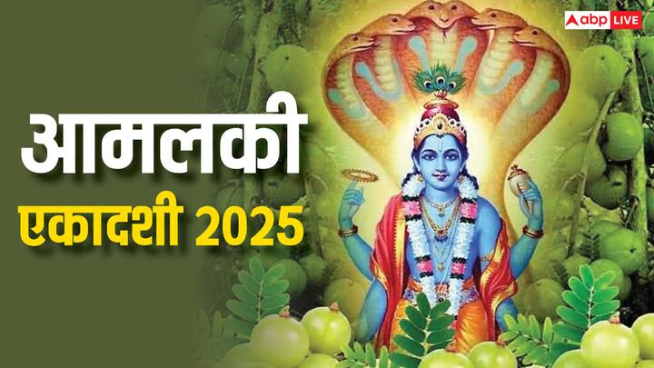 Amalaki Ekadashi 2025:  एकादशी का व्रत श्री हरि विष्णु भगवान को समर्पित है. इस दिन एकादशी की पूजा और व्रत करने से जीवन में आ रही परेशानियों से मुक्ति मिलती है, जानें इस व्रत से जुड़ी जानकारी.