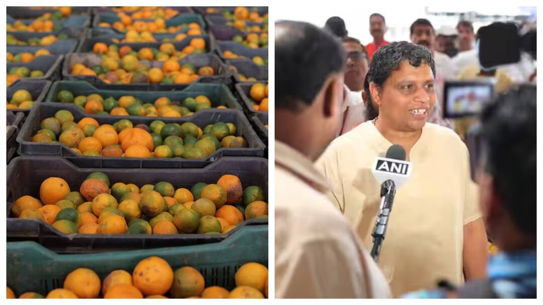 Acharya Balkrishna Says Patanjali Food Park In Nagpur Will Transform Livelihood Of Farmers 