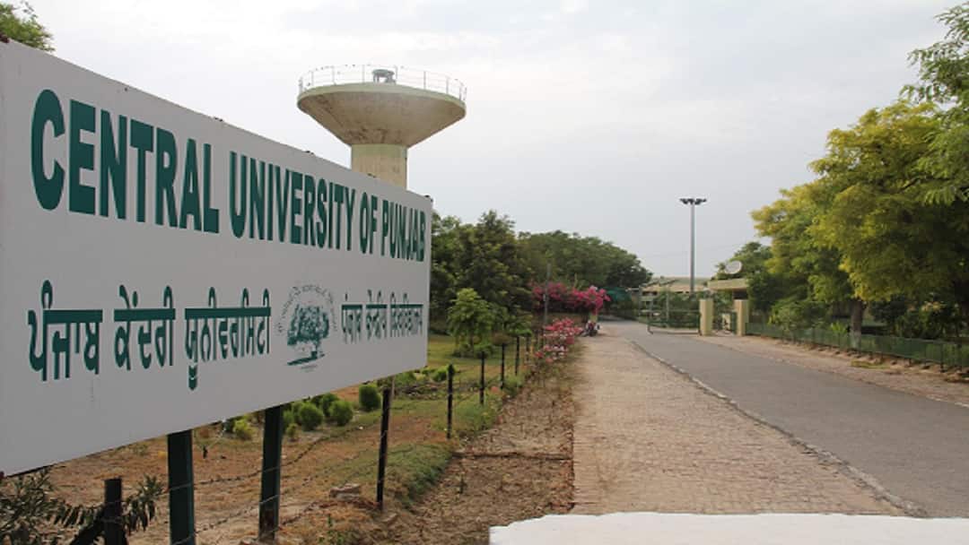 यहां एडमिशन पाना नहीं है आसान, एंट्रेंस पास करने के लिए देना होगा ये एग्जाम central university of punjab admission 2025 by cuet know course details eligibility fees structure यहां एडमिशन पाना नहीं है आसान, एंट्रेंस पास करने के लिए देना होगा ये एग्जाम