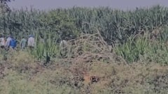 Dattatray Gade: दत्ता गाडेच्या फोनमध्ये नेमकं काय? लपवलेल्या फोनच्या तपासासाठी पोलिस उसाच्या फडात