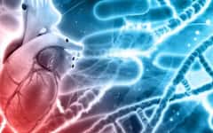 હાર્ટ બ્લોકેજના કિસ્સામાં શરીરમાં દેખાય છે આ મોટા સંકેત, જાણો તેના વિશે
