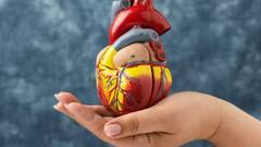 હાર્ટ બ્લોકેજના કિસ્સામાં શરીરમાં દેખાય છે આ મોટા સંકેત, જાણો તેના વિશે