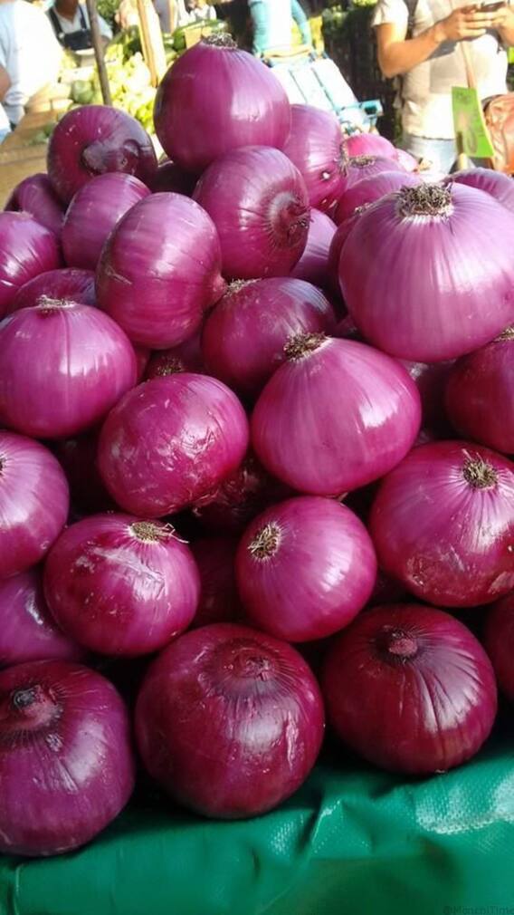 महाराष्ट्र के किस शहर में है प्याज की सबसे बड़ी होलसेल मार्केट?