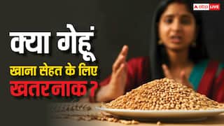 Myths Vs Facts: गेहूं को सेहत के लिए खतरनाक क्यों मानते हैं हेल्थ एक्सपर्ट? जान लीजिए जवाब