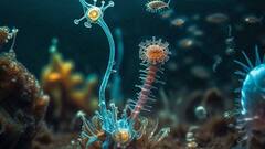 Aliens In Pacific Ocean: समंदर में 6 किलोमीटर नीचे ही मिल गई एलियंस की दुनिया, क्या-क्या पता चला? जान लें