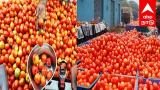 Anubumani ramadoss says Tomatoes that no one can buy for Rs. 3 per kg tnn விலை சரிந்து போன தக்காளி  கண்ணீரில் ,மூழ்கிய விவசாயிகள் - அன்புமணி ராமதாஸ் வேதனை