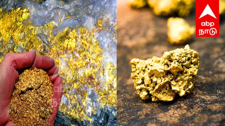 Gold treasure found in Tiruvannamalai Villagers in surprise தமிழகத்தில் தங்க புதையல் ; ஆச்சரியத்தில் ஊர் மக்கள்..! எங்கு தெரியுமா?