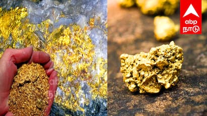 Gold treasure found in Tiruvannamalai Villagers in surprise தமிழகத்தில் தங்க புதையல்  ஆச்சரியத்தில் ஊர் மக்கள்..! எங்கு தெரியுமா?