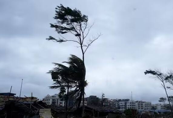 સરકારે લોકોને દરિયાકાંઠાના વિસ્તારોથી દૂર રહેવાની ચેતવણી આપી છે. ગોલ્ડ કોસ્ટ સિટી કાઉન્સિલે ખડકો અને ખતરનાક પાણીની નજીક જવા બદલ 10,000 ડોલર (લગભગ 8.71 લાખ રૂપિયા) ના દંડની ચેતવણી જાહેર કરી છે.