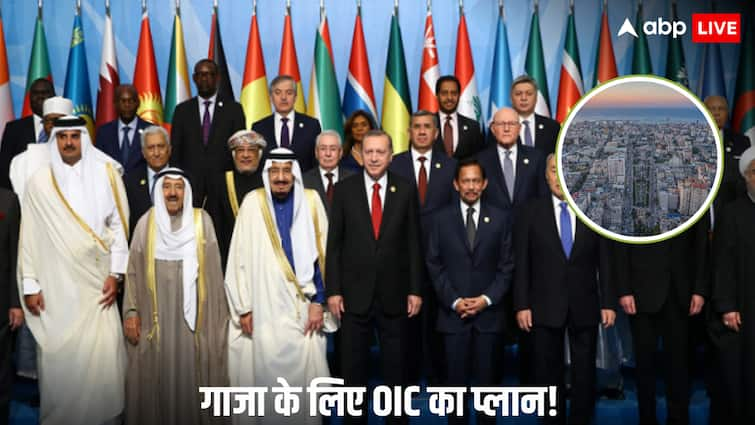 OIC On Gaza Plan: गाजा पट्टी को लेकर क्या है मिस्र का प्लान, जिसे मिला OIC देशों का साथ