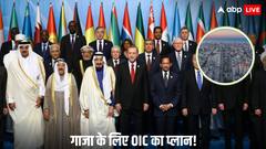 गाजा पट्टी को लेकर क्या है मिस्र का प्लान, जिसे मिला OIC देशों का साथ